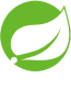 Spring Logo