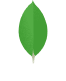 MongoDB Logo